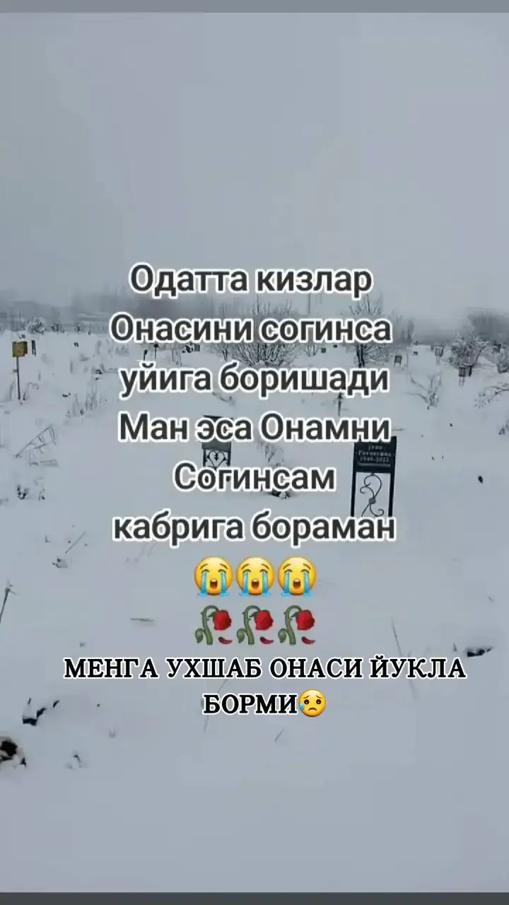 #shorttiktok💞💞💞🔥🔥🔥 #flytiktok🔥🔥🔥💞💞💞 #shorttiktok💞💞💞 #rekkaciqiplos✌😹 #rekomendasiya🔥🔥🔥🔥🔥🔥 #shorttiktok💞💞💞🔥🔥🔥 #flytiktok🔥🔥🔥💞💞💞 #