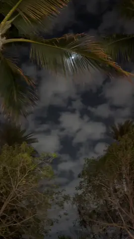 ليله خميس.. موعد لقانا❤️🥹🎻#تصويري #اكسبلووووورررر #اكسبلورexplore #جلسه_تصوير #ليله_خميس #jeddah #محمد_عبده_فنان_العرب #ابو_نوره #كورنيش_جدة #مرسى_الاحلام #موعد_لقانا #❤️ #حبيبي #الانتشار_السريع #موسيقى #قمرا #ابحر #بحر 