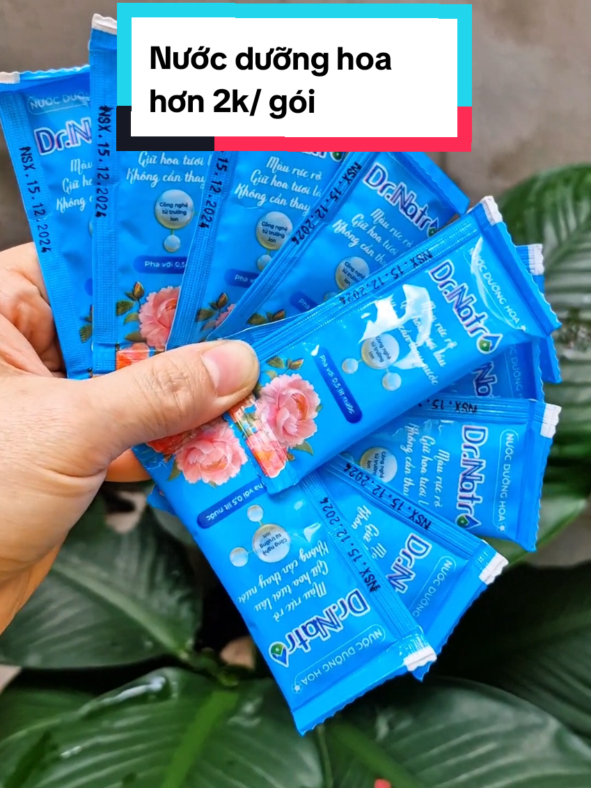 Nước dưỡng hoa Dr Natro, hoa tươi lâu lên màu rực rỡ #tet2025 #samtetbaovui #tiktokshoptet #nuocduonghoa #nuocduonghoadrnatro #nuoccamhoa #nuoccamhoadrnatro 