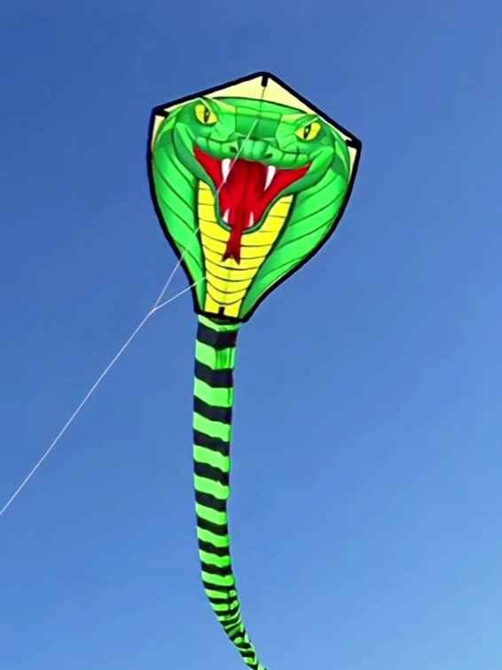 #ว่าวจุฬา #ว่าวงู 