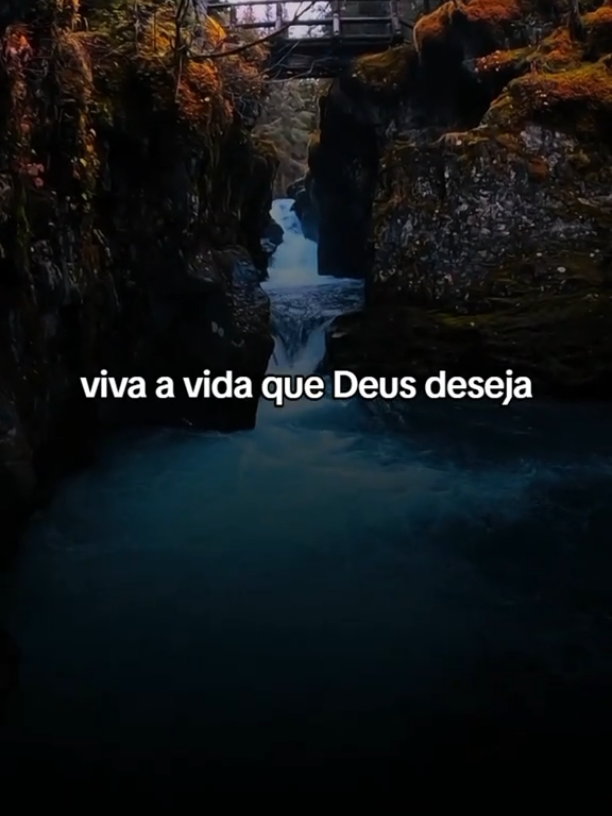 🙏 Qual o Propósito da Sua Vida? ✨🙏💡❤️#ReflexãoDoDia #PropósitoDeVida #DeusNoControle #fé #fouryourpage #fouryou #viral #deus #louvor #oração 