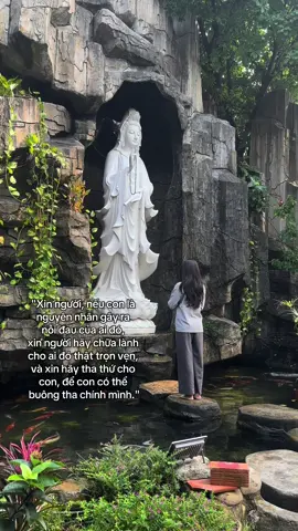 Xin người.. #phatdaovothuong #phapphucdichua #xh #phatphapnhiemmau #ngoclan #nhannhan #viral #phatphap #ducthanhnghia 