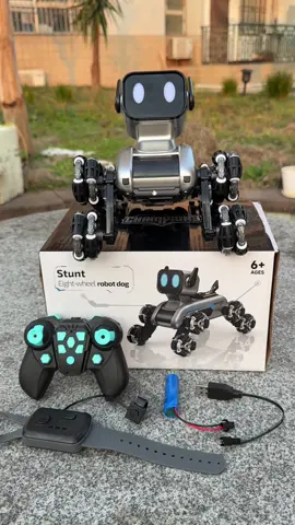 It’s a new toy I bought for my son a remote control robot dog#toys #robotdog #toy #shopvideocarniva 