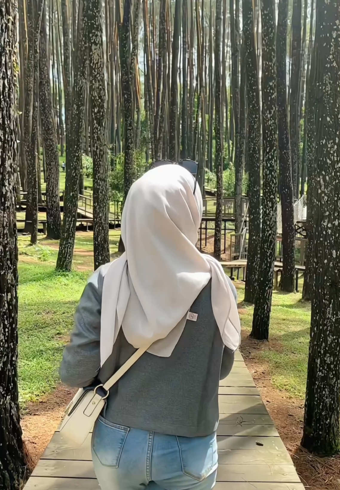 berharap ada kabut🥹  #pinusan #pinus #pinusmangunan #pinusmangunanjogja 