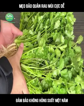 Mẹo Bảo Quản Rau Mùi Cực Dễ #xuhuong #longvideo #longvideos #review #reviewphim #reviewphimhay #mereview #mereviewphim #phimngontinh #khophimngontinh #phimtrungquoc #daophimtrung #fyp #foryou