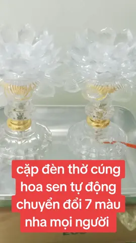 #denhoasendoimau #denthohoasenled #denhoasenbanthophat #dentho #xuhuongtiktok #duymynguyen 