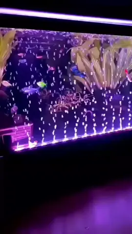 Lampu celup LED aquarium gelembung udara super aesthetic,CO dikeranjang kuning #lampucelupgelembungudara #tiktokshopindonesia #fypage 