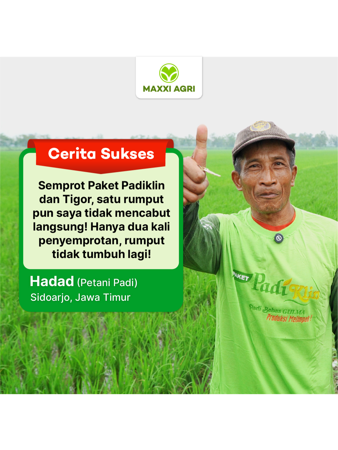 Dengan padiklin dan tigor, gulma dan benih gulma mati dalam hitungan hari. Paket yang handal bersihkan gulma di lahan padi, ya pakai padiklin dan tigor. 🌾 #bertanimaxximal #maxxiagri #petanimuda #pertanian #padi #petanipadi #fyp