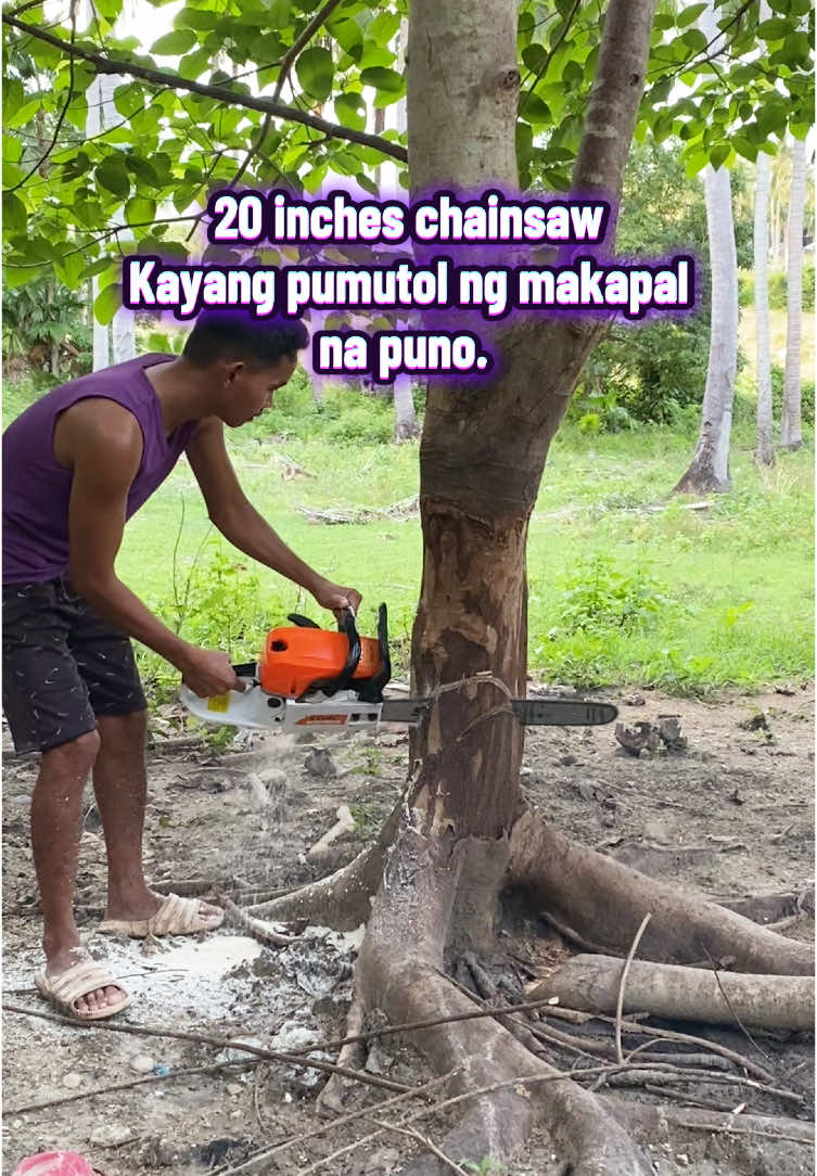 20 inches na chainsaw kayang pumutol ng makapal na puno. #stihl #stihlchainsaw #germany #gasoline #gasolinechainsaw20inches #gasolinechainsaw24inches #gasolinechainsaw30inches #gasolinechainsaw36inches #20inches #chainsawman #minichainsaw #ministihlchainsaw #tools #tiktokfinds #chainsawman #chansawmen #howtousechainsaw #paanogamitinangchainsaw #gasolinechainsaw #stihlgermany #powertools #completetools #completeaccessories #outdoor #farm #farmlife #farming #heavyduty #heavydutychainsaw #agriculture #portablesaw #woodworkingchainsaw #chainsawcutting #madeingermany #jesshopp09 #chainsawcuttingtree #chainsawsharpener #powersaw #outdoor #viral #trending #tiktokshop #toolman #woodworking #foryou #foryourpage 