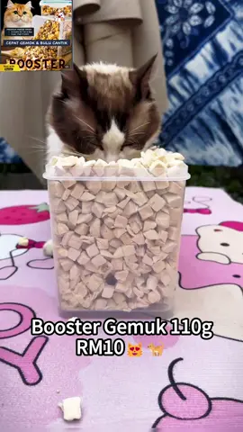 Booster Gemuk RM10 satu pek je. Murah , quality pun bagus#boostergemukgebu #boosterkucing #freezedriedkucing#cat #dog #forcat #pettreats #fyp 
