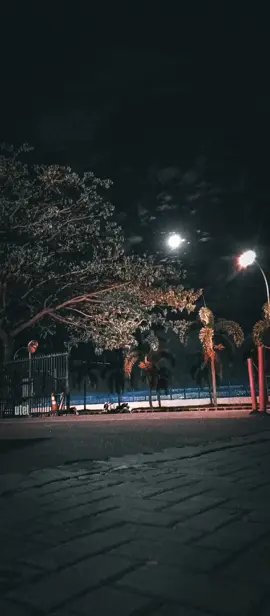 Arian nang borngin i sai busisaon rohakhi #fyp #tiktokviral #musikindo #musikgram #storywa #statuswhatsapp #marduaholong #omegatrio