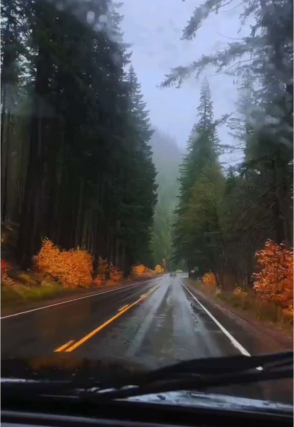 oh the pacific northwest🌧️ #pnw #washington #oregon #adventure #wanderlust #travel #sony #moody #video #fyp #foryou #adventure #vanlife #roadtrip 