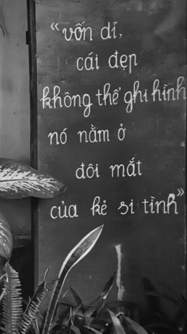 ảnh suy để đăng story #anh #shareanh #suy #xh 