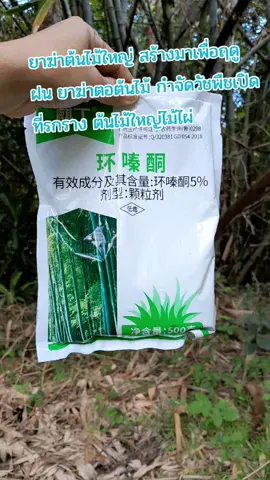 รากไม้เน่า500g ยาฆ่าต้นไม้ใหญ่ สร้างมาเพื่อฤดูฝน ยาฆ่าตอต้นไม้ แค่โรยเพียงเล็กน้อย กำจัดวัชพืชเปิด ที่รกราง ต้นไม้ใหญ่ไม้ไผ่ ยากำจัดต้น #ยากําจัดต้นไม้ยาฆ่าตอไม้สารกําจัดกอไผ่ #ยาฆ่าต้นไม้ #ยาฆ่าไม้ไผ่ #กําจัดตอไม้ #tiktokshop #tiktokshopครีเอเตอร์ #tiktokshop #tiktokshopช้อปกันวันเงินออก 