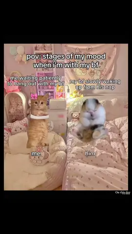 me when im with my bf at home 🤕🤧 #bf #gf #girlfriend #boyfriend #Relationship #relationshipgoals #relatable #couple #catcouple #kitten #kitty #meow #catmeme #ilovemybf #ilovemygf #catlover #cuddles #onthisday 