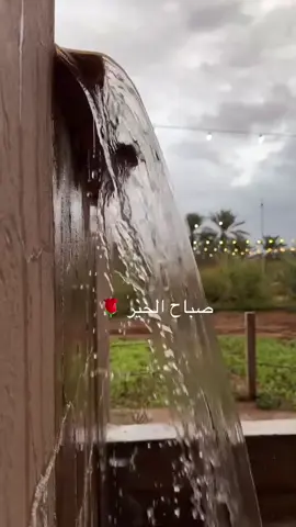 #صباحكم_أحلى_صباح 🌹#كلمات_من_القلب #عبارات_جميلة🦋 #جمعه مباركه على الجميع #explore #explore_اكسبلوررررررررر #اكسبلورررررررررررررررررررر💥🌟💥🌟💥💥🌟🌟🌟🌟🌟 