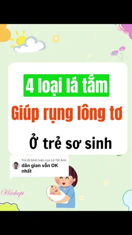 Trả lời @Lê Tất Ánh 4 loại lá tắm giúp rụng lông tơ ở trẻ sơ sinh .pa mẹ mink cùng tham khảo nhé ạ#suabimquynhanh #xuhuong #kienthucchamcon #yfp #review #chămsocmevabe 