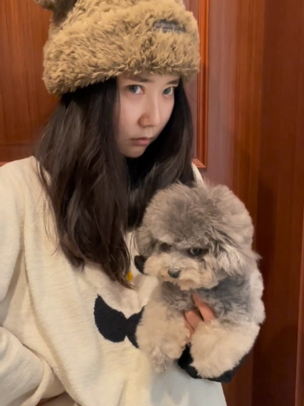 Và tình yêu bắt đầu khi ta nhìn vào mắt nhau #dog #cunyeu #cutedog #cute #poodle #funny