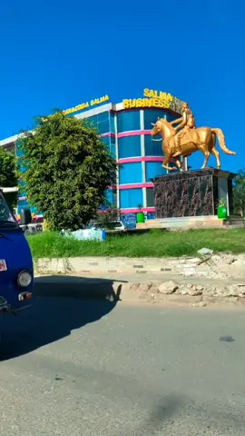 The statue of Sayid Mohamed Abdulle Hassan in the center of Jigjiga city; Jigjiga is the capital city of the Somali Region.  #WeekendVibes #jigjiga_somali_galbeed #jigjigatiktok #ethiopian_tik_tok🇪🇹🇪🇹🇪🇹🇪🇹 #travelethiopia #Jigjiga #jigjiga🇬🇲🇬 