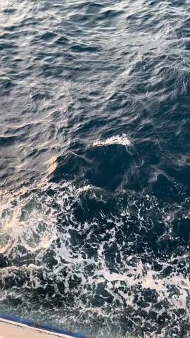 try againnn #fyp #malukuutara #ternate #ternate_malukuutara #pesonaindonesia 