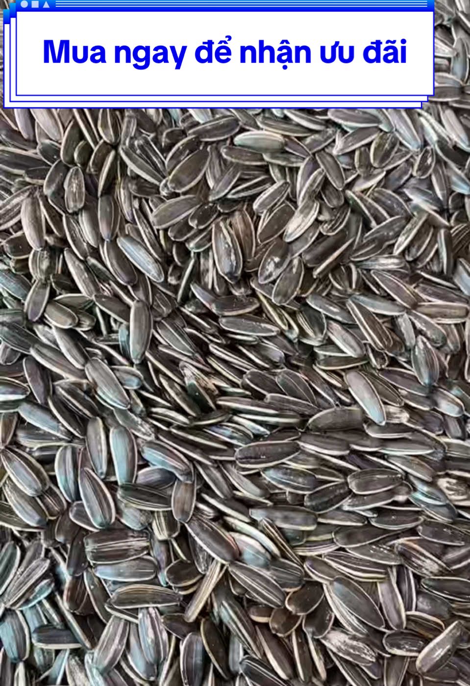 Hạt hướng dương vị truyền thống #changshop1010 #xuhuong  