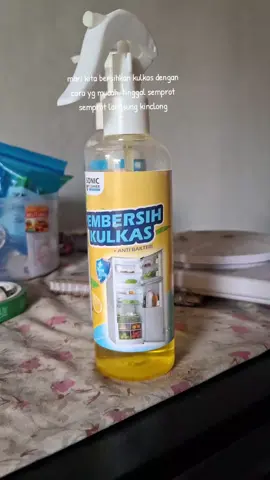 #rekomendasi #racuntiktok #viralvideo #fy #pembersihkulkas 