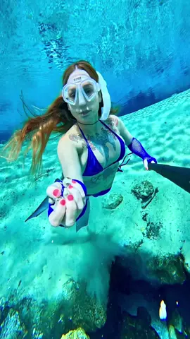 Apple snail shells 🐚🍎🐌 #applesnail #shells #underwater #freediver #freediving