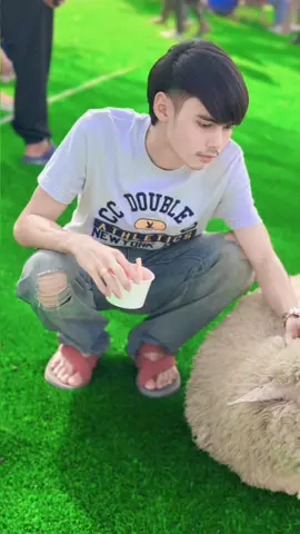 เด็กเลี้ยงแกะ🤣🐑 #เด็กใต้ #นครศรีธรรมราช 