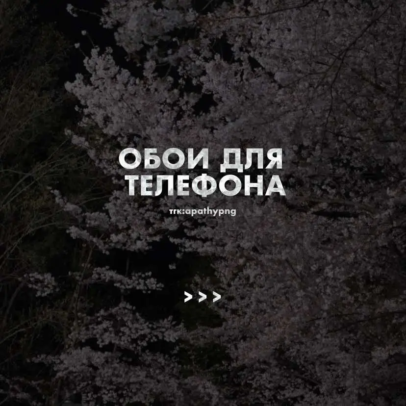 #рекомендации #обои #wallpaper 