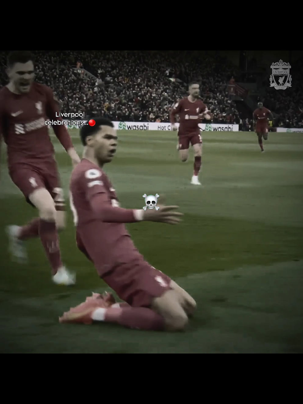 Liverpool celebrations 💀 #liverpool #liverpoolfc #lfc #celebrations #fyp #on 