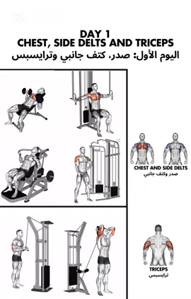 The Best workout Split: أفضل جدول تمارين: #جدول_تمارين #تمارين #جيم #جدول_تمارين_للمبتدئين #workoutsplit #workoutroutine #GymTok #ppl 