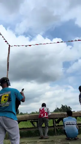 Semoga selamatt🥹 #merpatikolong #pmtibogordepok #merpatibalapindonesia 