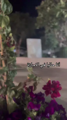 #اكسبلور #fyp #الشعب_الصيني_ماله_حل #اجازة_سعيدة_للجميع💓 #اجازه 