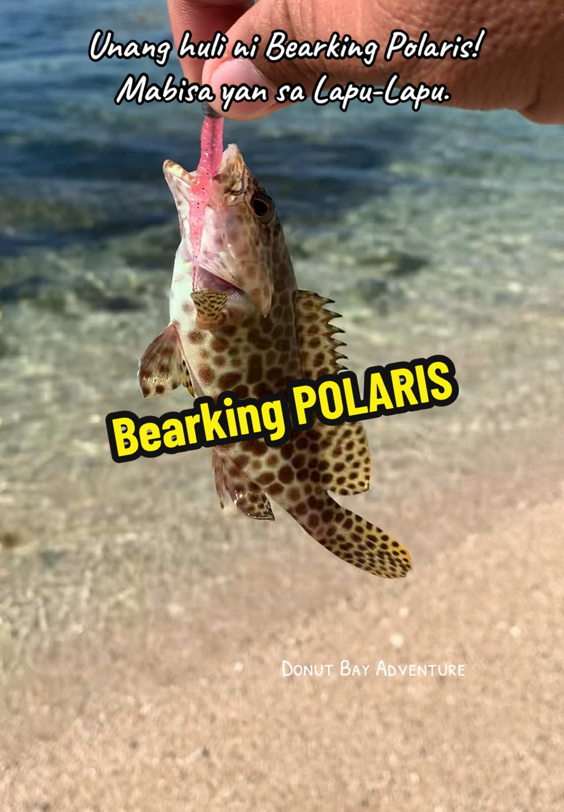 Bearking Polaris Soft Plastic Lure!Mabisa sa Lapu-Lapu.Kita niyo naman. #softbait #softplasticlure #softlure #lure #fishing 