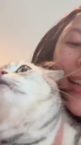 bayi sugus tidak bisa tertolong kan sekarang😂😼 terlalu lama berlibur😂😂😂 IG: @sugus.____ #MilkPansa #mimiv @Panly 