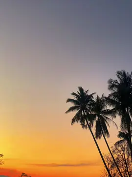 😮‍💨☕️ #songvibes #deathbed #nostalgia #fyp 