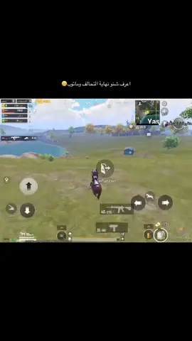 60| #ببجي_pubg #للونسه_فقط😂😂 #الشعب_الصيني_ماله_حل😂😂  #محمود_الجبلي #رومان_رينز #فريقي🔥 #سنه_2025 