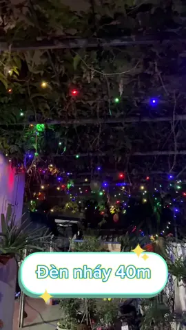 #dennhay #xuhuong #dentrangtritet #tet 