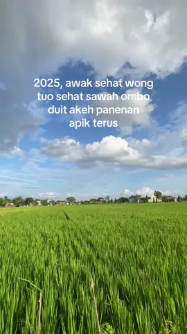 sederhana mawon ya allah aamiin🤲🏻😇 #petaniindonesia🇮🇩🇮🇩🇮🇩🌿🌿 #petanimuda #petanigenz #petanicilik 