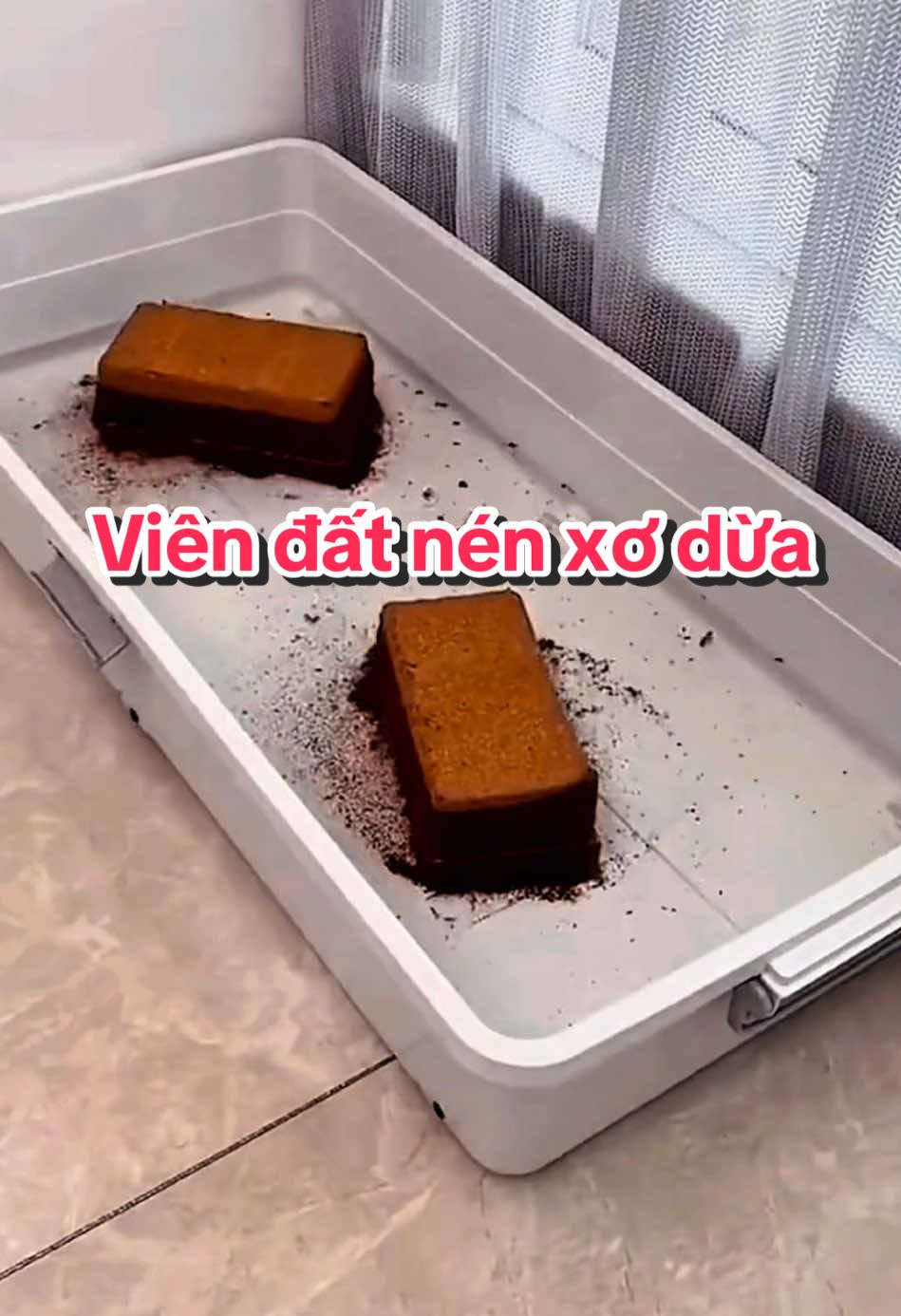 Viên đất nén xơ đưa hữu cơ trồng cây, trồng rau hiệu quả #datnenxodua #datnenhuuco #datnentrongcay #datnentrongrau #trongrausachtainha #giadungtienich 