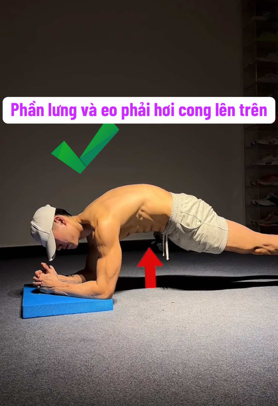 Hướng dẫn tập pkank đúng cách  #tapplankdungcach #tapplank #baitapplank #tapbungtainha #tapbunggiamcan #tapbungchonguoimoi #tapbung6mui #bung6mui 