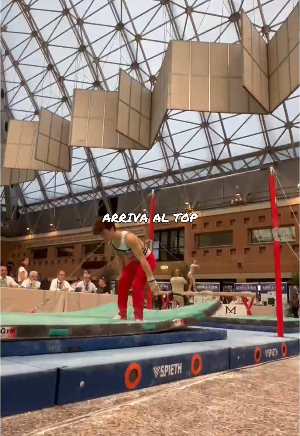 🐐 #fyp #foruyou #perte #pourtoi #ginnasticaartistica #viral #trending #gymmotivation #goat🐐 #marracash #diegovaz 