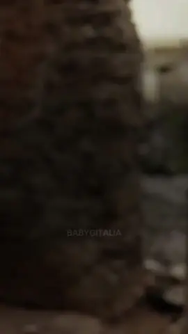 🤩🤩#CapCut #babygang #simbalarue #morad #edit #perte #morocco #maroco🇲🇦algeria🇩🇿tunisia🇹🇳_paris🇨🇵 #spagna🇪🇸 #morad 