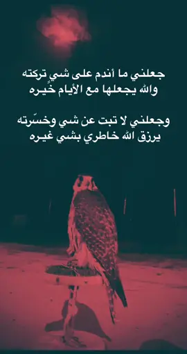 #الاردن_السعودية_فلسطين_احساس_شاعر_لايك_فضلآ_وليس_أمرآ 