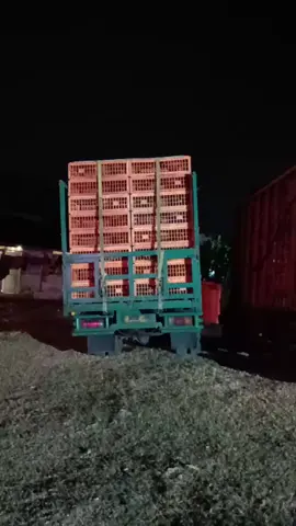 cariu farm🚚🚚🚚 #CapCut #ayambroiler #pejuangrupiah #lintasmalam #pejuangsusut🐔 #ppppp #fypppppppppppppppppp #kurirchiken #pemburuhayambodas #cantermaniaindonesia #supirayambroiler🐔 #pesonatrukindonesia #romansasopirtruck #driverayam #drivermudapunyacerita 