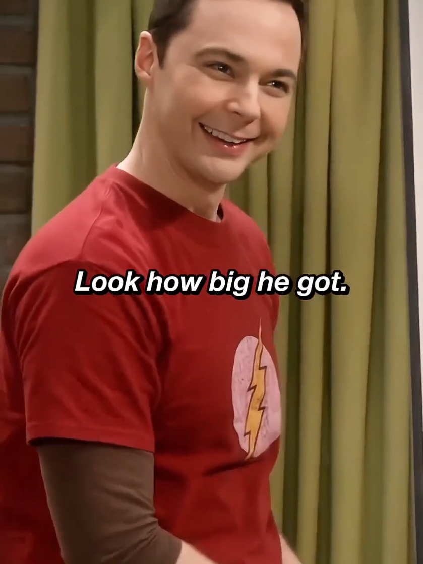 SHELDON Don't sit there #tvseries  #thebigbangtheory 