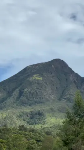 🫦🫦🫦#motorkokpcx #pcx150 