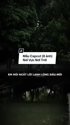 #CapCut Nơi Vực Nơi Trời remix - 8 ảnh #capcutmaster #mauxuhuong #kiencapcut 