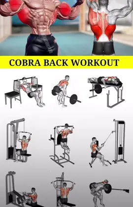 💪 #gym #GymLife #workout #gymfreak #toptags #gymtime #gymrat #bodybuilding #gymmotivation #train #fitfam #progress #muscle #training #befit #health #gymaddict #instahealth #hulk #body #fit #strong #motivation #determinant #determination #instadaily #musclegain #cleaneating #exercise #fyp #رياضة #كمال_الاجسام 