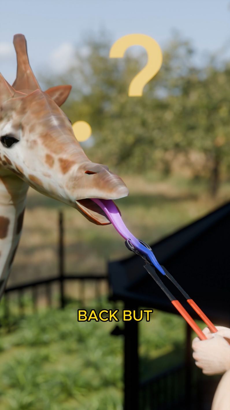 Why Giraffe Tongue Is Blue#theoutliners #3danimation #facts 